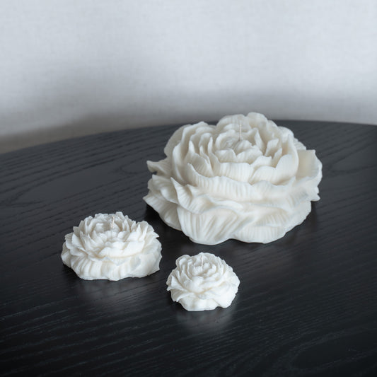 Kerzen-Set Bløma bestehend aus großer Pfingstrosenform plus zwei kleinere Blüten, natürlicher Cremeton, Designkerzen, Rapswachs, handgefertigt in Hamburg, 100 % pflanzlich & nachhaltig. Studio Z. Dekoriert auf schwarzem Tisch vor hellem Hintergrund. Duftneutral